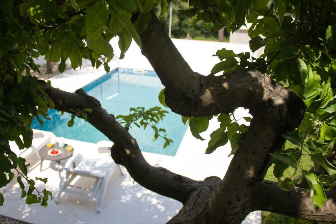 Villa Fig Zmijavci Exterior photo